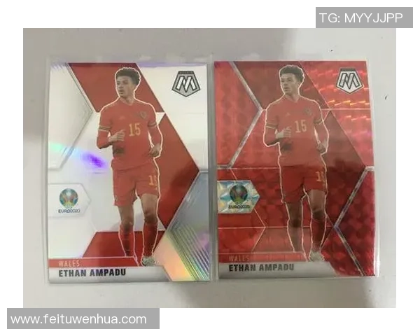 帕尼尼足球球星卡的市场价值与收藏潜力分析 帕尼尼足球球星卡的市场价值与收藏潜力分析