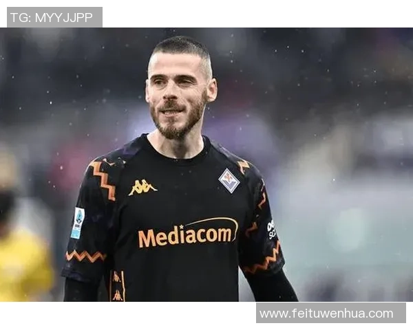 德赫亚职业生涯起伏与辉煌守门艺术全面解析 德赫亚职业生涯起伏与辉煌守门艺术全面解析