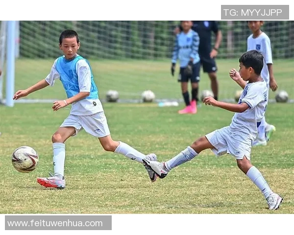 足球星期：深入探讨足球赛事的多样性与文化影响，解锁全球足球迷的激情与热爱
