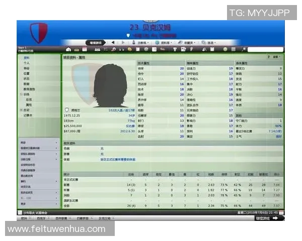 足球经理2018球星成长轨迹与巅峰表现全景解析